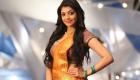 Kajal Agarwal Traditional pics, Kajal Agarwal saree pics